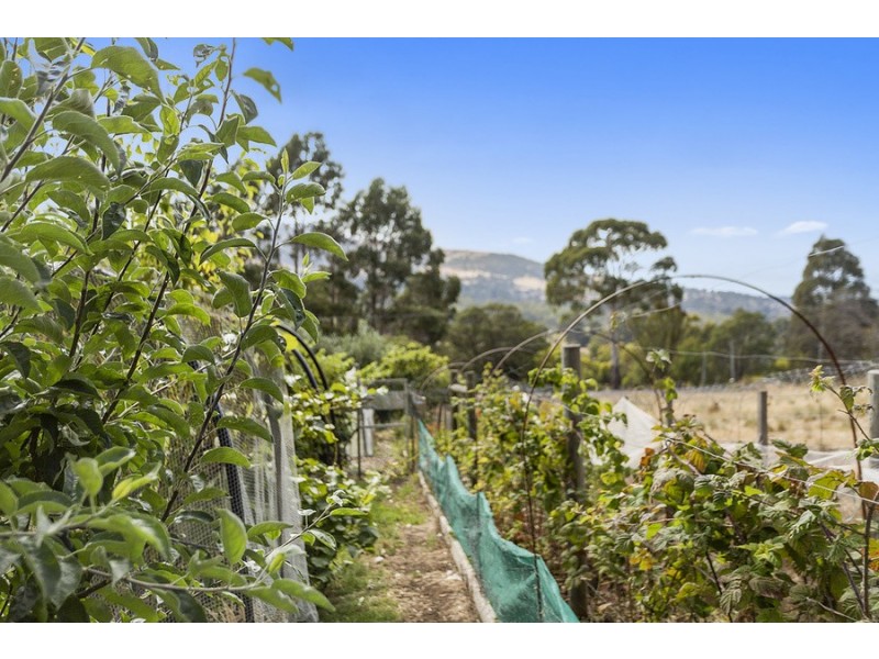 151 Tara Drive, Acton Park TAS 7170
