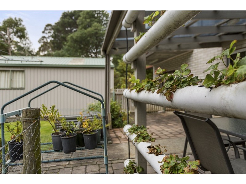 121 Strickland Avenue, South Hobart TAS 7004