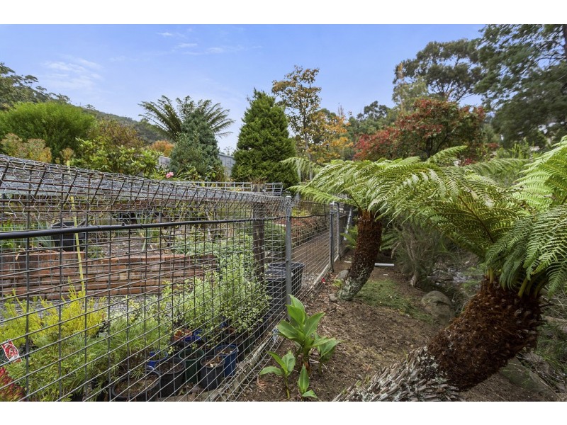 121 Strickland Avenue, South Hobart TAS 7004