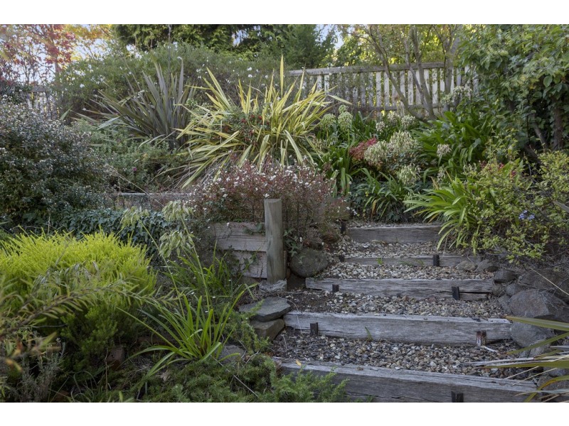 11 Quayle Street, Sandy Bay TAS 7005