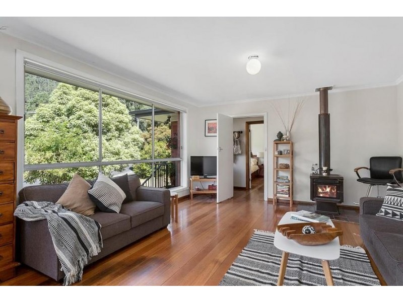11 Lawley Crescent, South Hobart TAS 7004