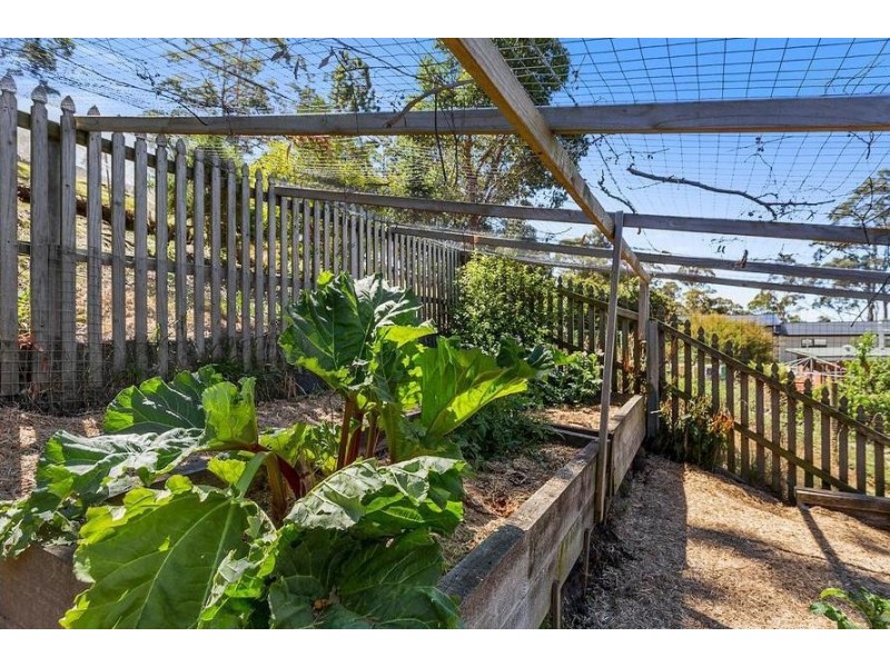 11 Lawley Crescent, South Hobart TAS 7004