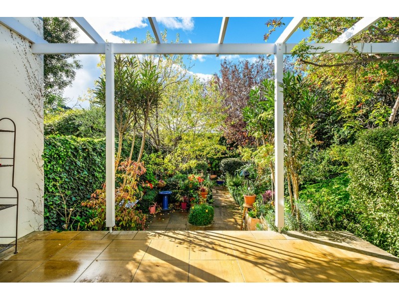 16 Star Street, Sandy Bay TAS 7005