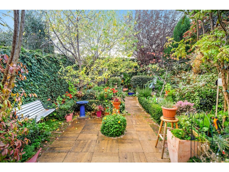 16 Star Street, Sandy Bay TAS 7005