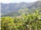 Bentley Park QLD 4869