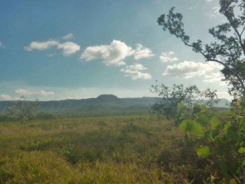 1 Wilton Access Road, Cooktown QLD 4895