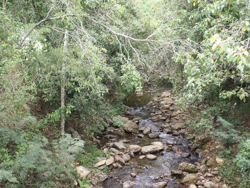 6 Starr Close, Bentley Park QLD 4869