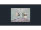 36 Cooktown Road, Edmonton QLD 4869