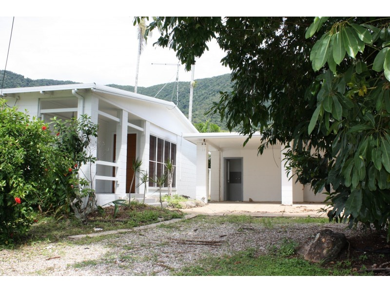 53 Terebra Street, Palm Cove QLD 4879