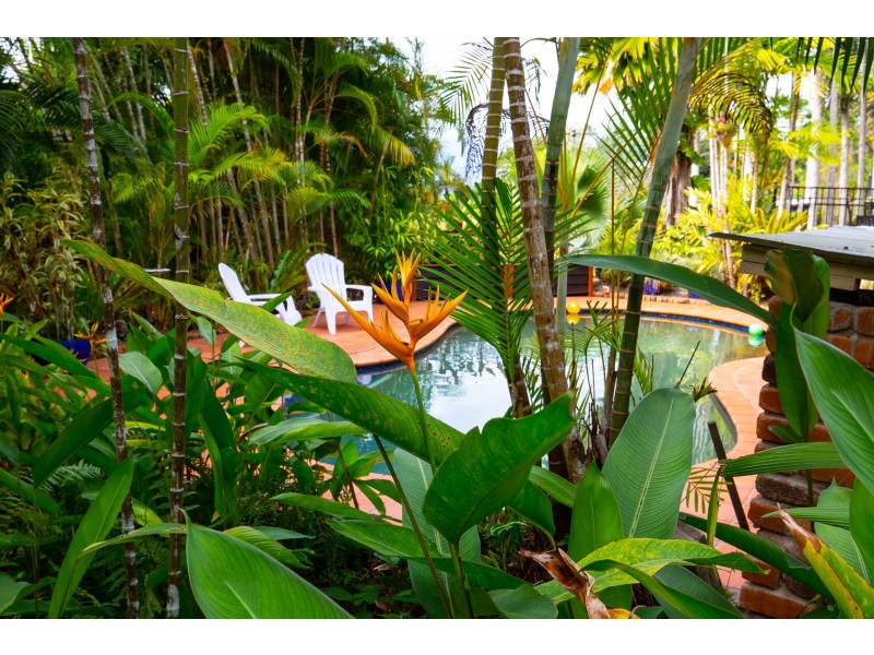 275 Toogood Road, Bayview Heights QLD 4868