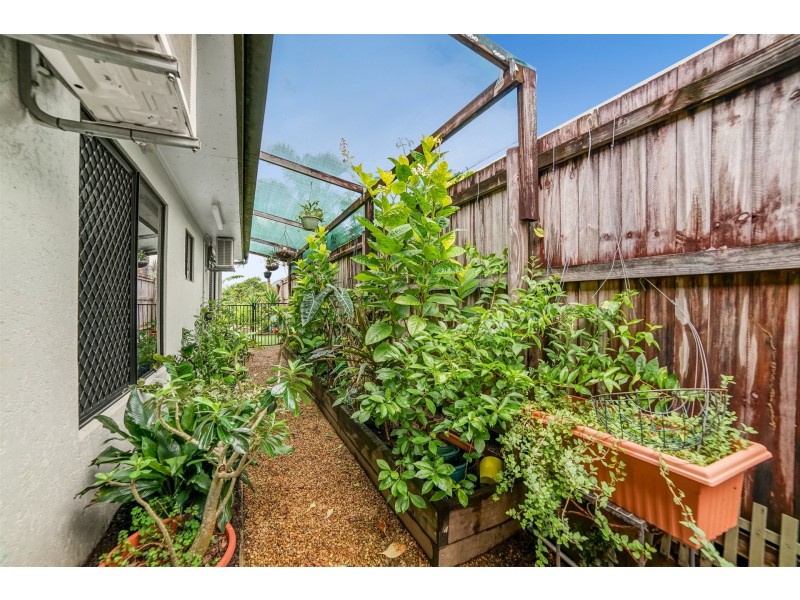 11 Surtees Close, Bentley Park QLD 4869