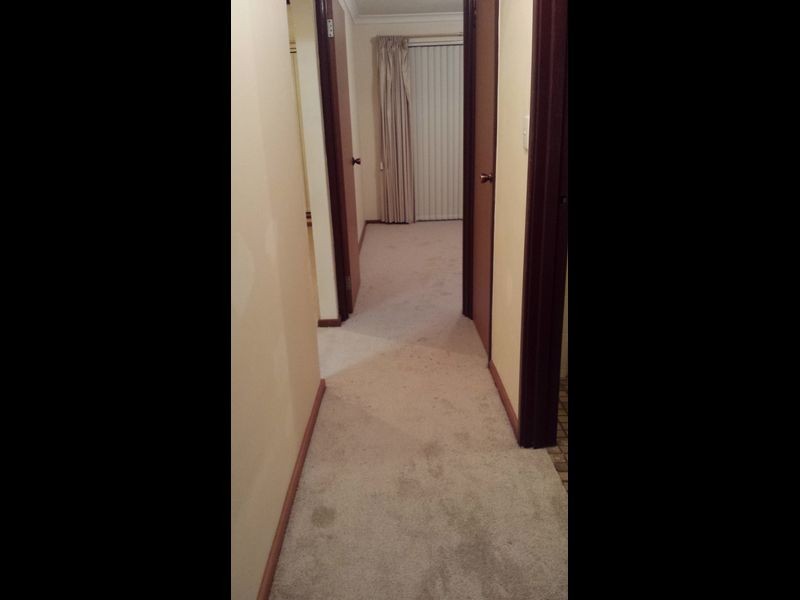 7/33 Parkside Avenue, Mount Pleasant WA 6153