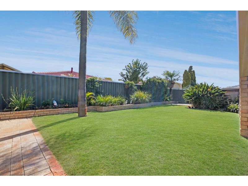 116 Le Souef Drive, Kardinya WA 6163