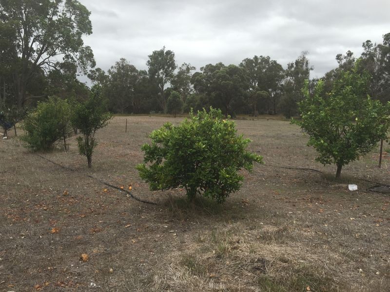 Lot 10619 Walshaws Road, Kulikup WA 6244