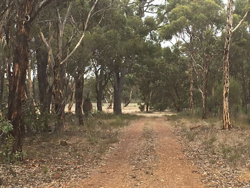 Lot 10619 Walshaws Road, Kulikup WA 6244