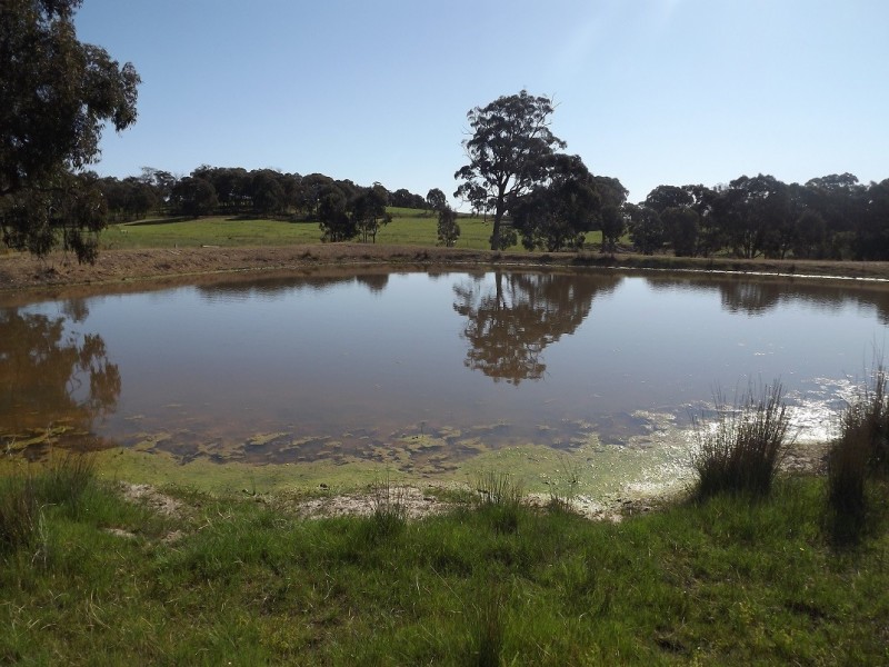 265 Mia Mia Road, Broadford VIC 3658