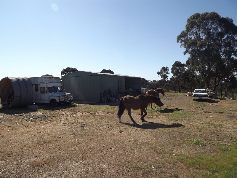 265 Mia Mia Road, Broadford VIC 3658