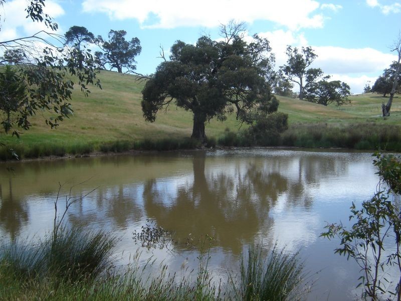 270 Marchbanks Road, Broadford VIC 3658