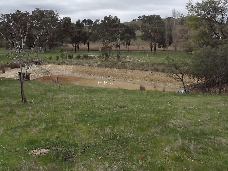 244 Wallis Road, Broadford VIC 3658