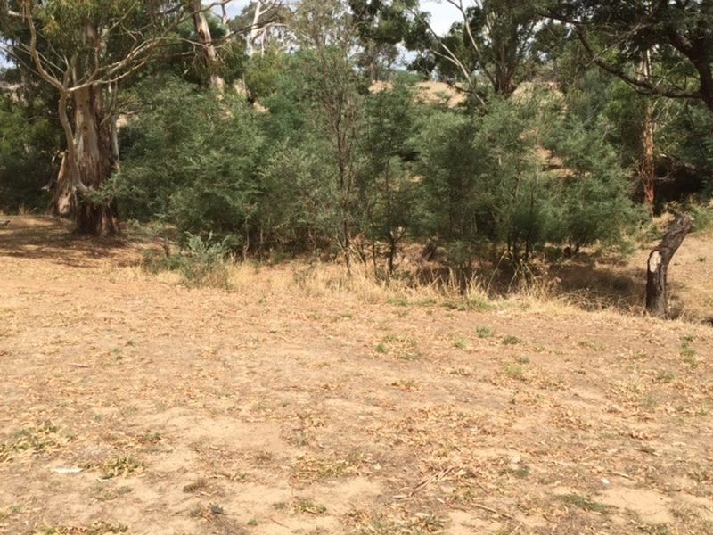16 Elizabeth Court, Clonbinane VIC 3658