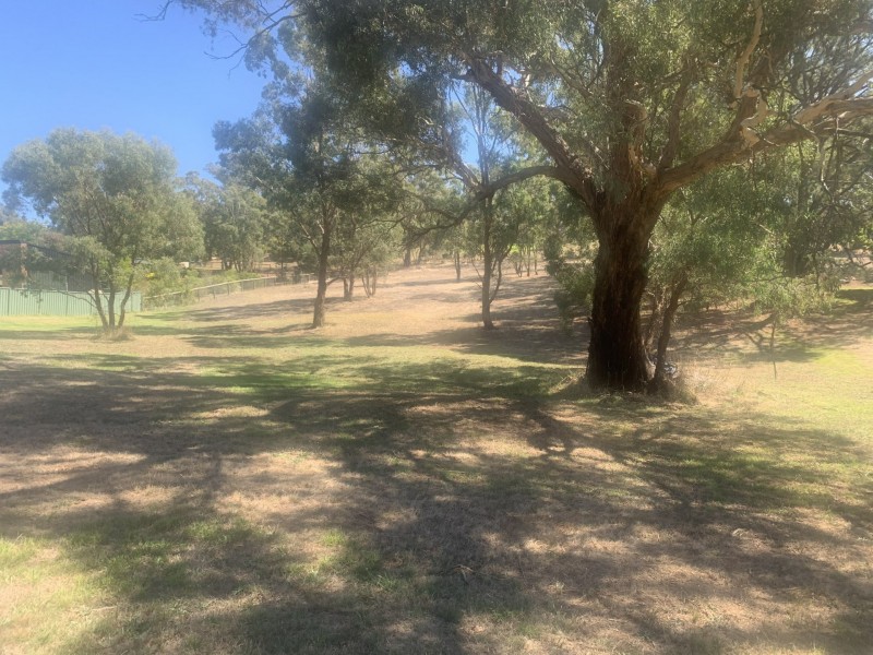 59 Sanctuary Drive, Tallarook VIC 3659