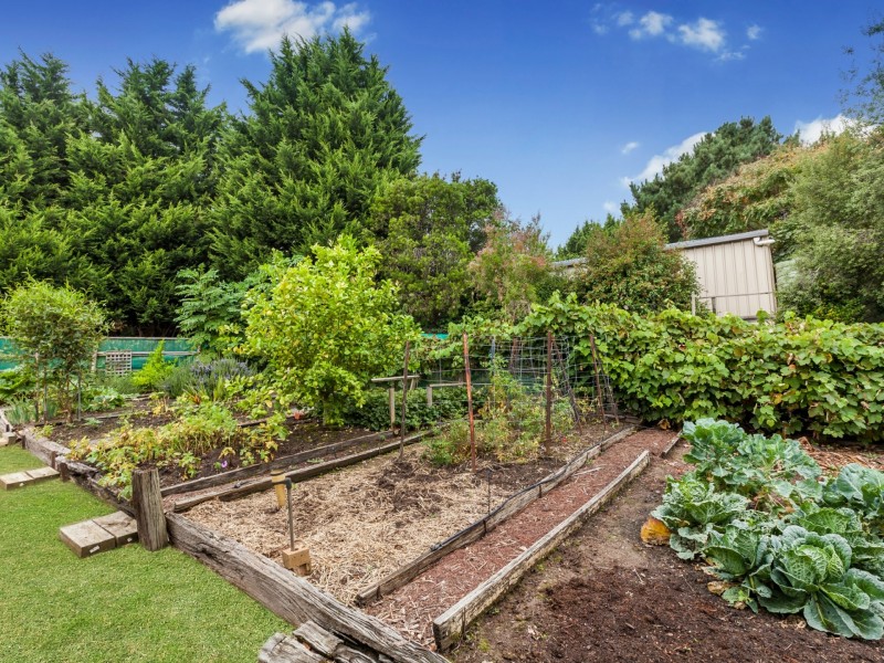 6 McDonald Drive, Wandong VIC 3758