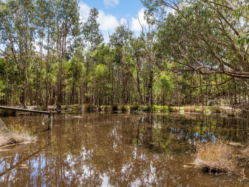 330 Murchison Spur Road, Reedy Creek VIC 3658