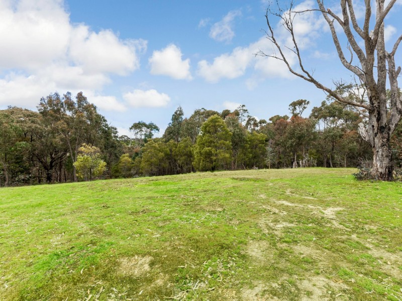 330 Murchison Spur Road, Reedy Creek VIC 3658