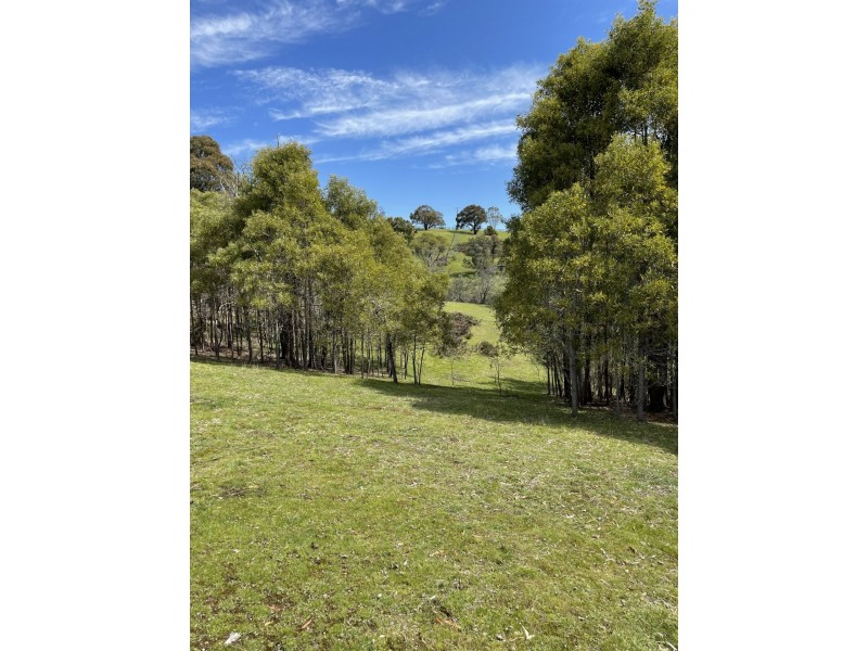 330 Murchison Spur Road, Reedy Creek VIC 3658