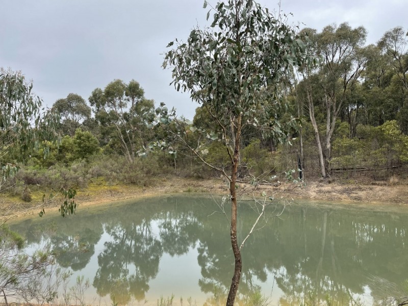 330 Murchison Spur Road, Reedy Creek VIC 3658