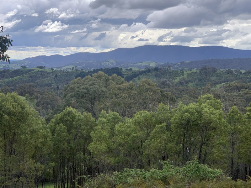 330 Murchison Spur Road, Reedy Creek VIC 3658