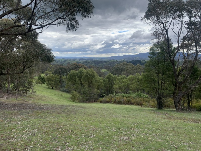 330 Murchison Spur Road, Reedy Creek VIC 3658
