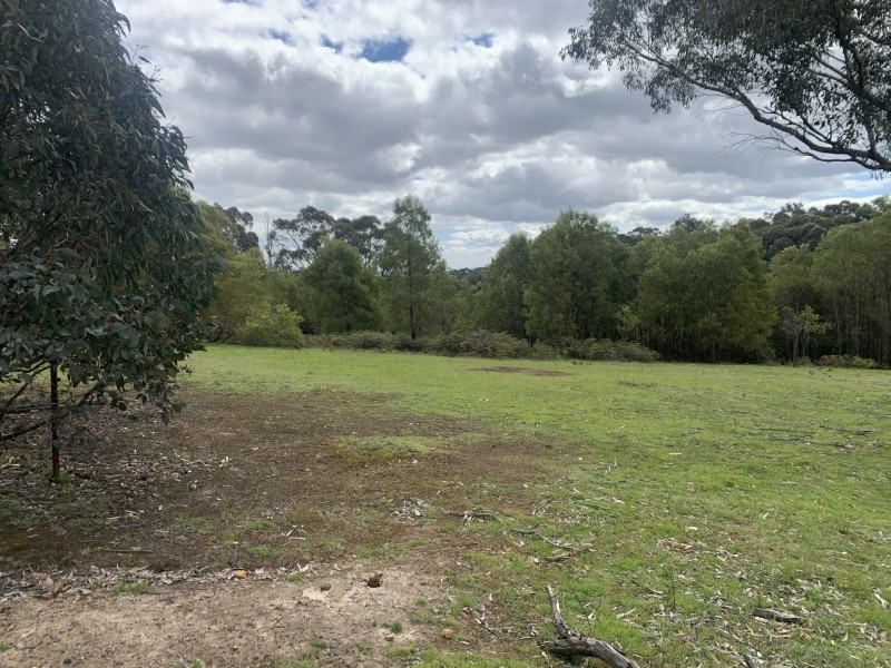 330 Murchison Spur Road, Reedy Creek VIC 3658