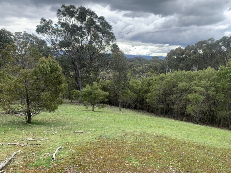 330 Murchison Spur Road, Reedy Creek VIC 3658