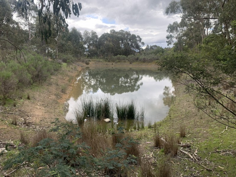 330 Murchison Spur Road, Reedy Creek VIC 3658