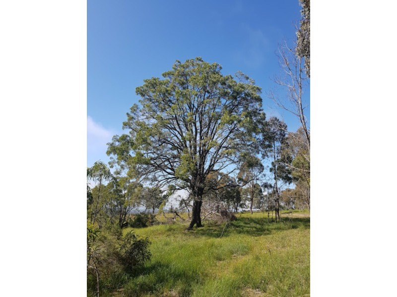 Lot 10H Chapmans Road, Pyalong VIC 3521