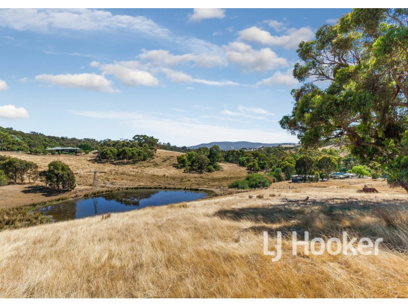 16 Doyle Street, Reedy Creek VIC 3658