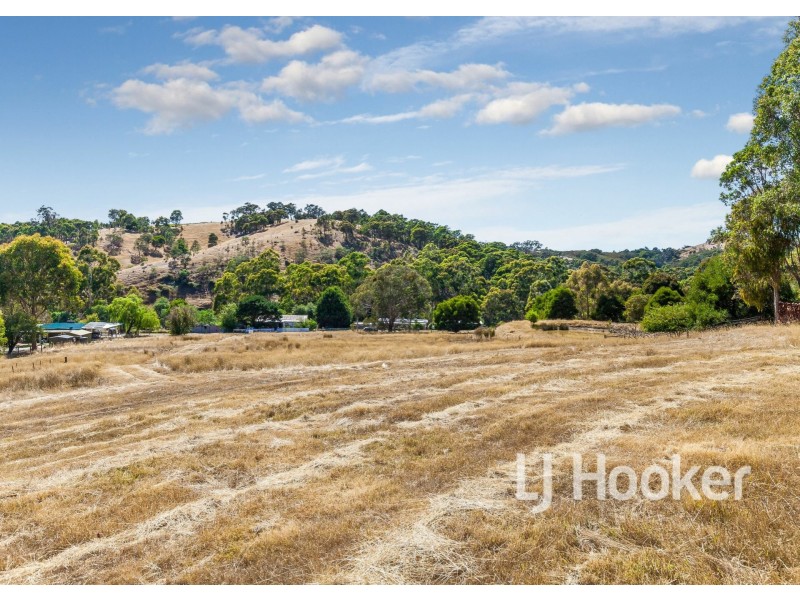 16 Doyle Street, Reedy Creek VIC 3658