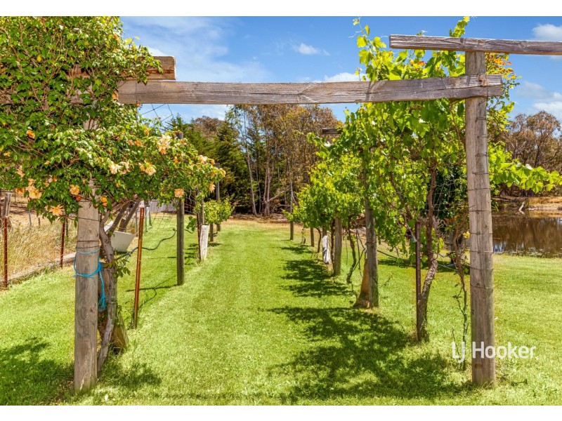 10 Bruces Lane, Tyaak VIC 3658