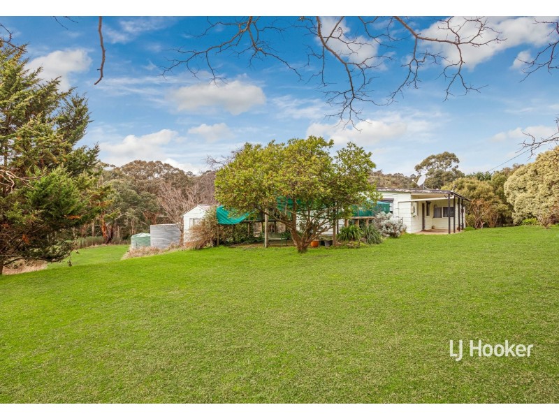 19 Doyle Street, Reedy Creek VIC 3658