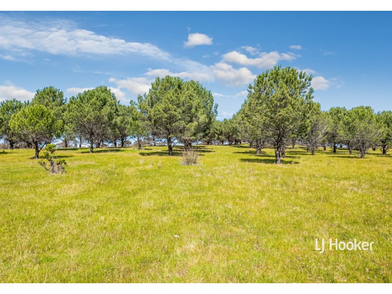 95 McGintys Lane, Glenaroua VIC 3764