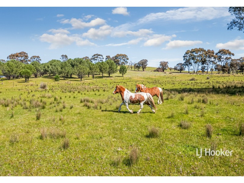 95 McGintys Lane, Glenaroua VIC 3764