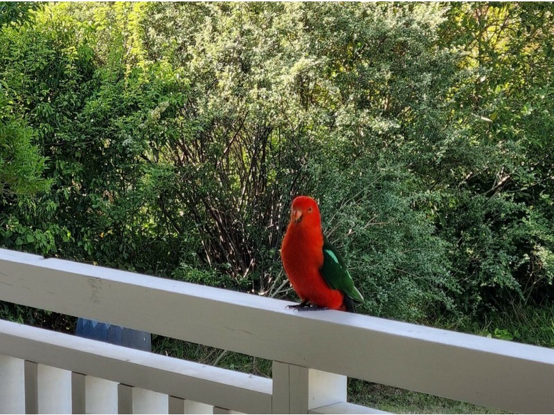 140 Cunninghams Road, Tyaak VIC 3658