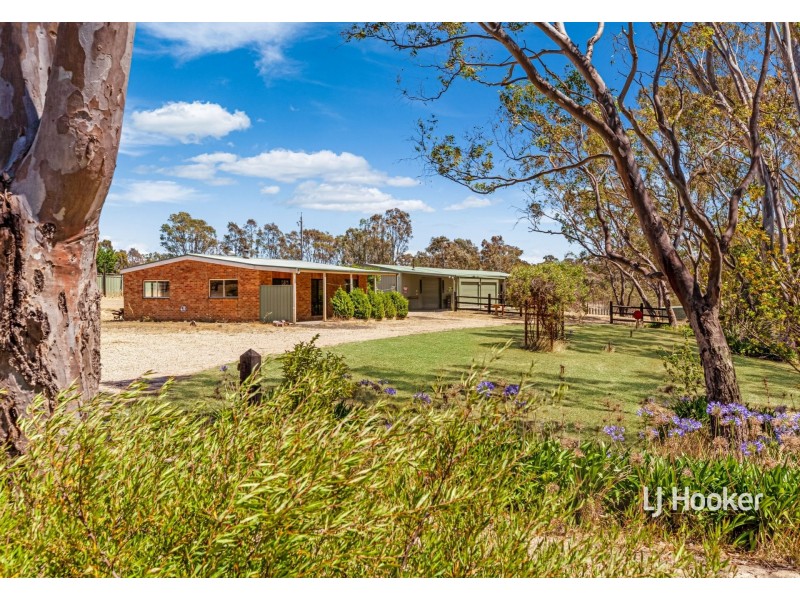 915 Seymour-Pyalong Road, Sugarloaf Creek VIC 3658