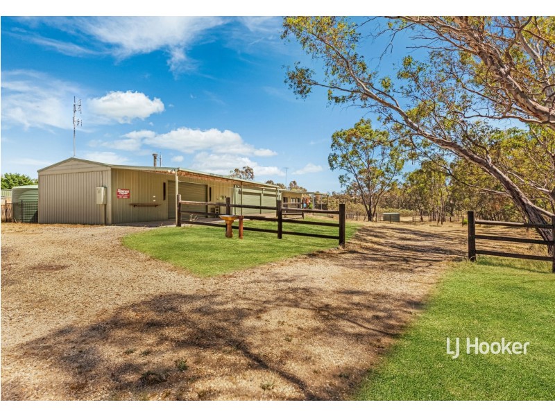 915 Seymour-Pyalong Road, Sugarloaf Creek VIC 3658