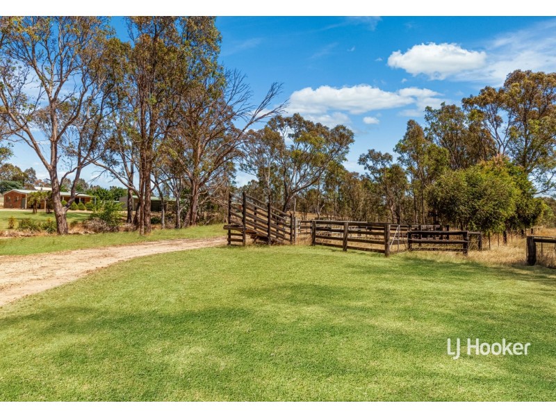 915 Seymour-Pyalong Road, Sugarloaf Creek VIC 3658