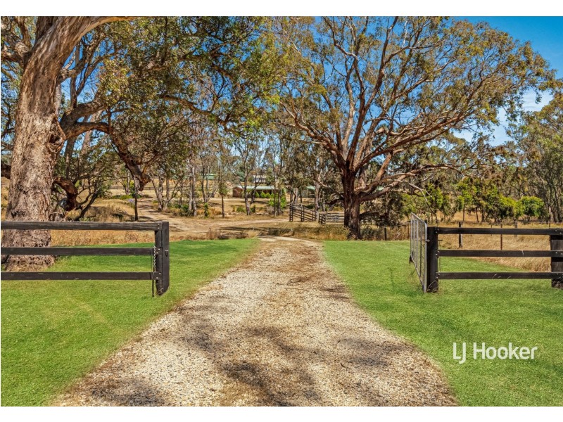 915 Seymour-Pyalong Road, Sugarloaf Creek VIC 3658