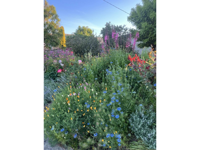 30 Donaldson Drive, Broadford VIC 3658