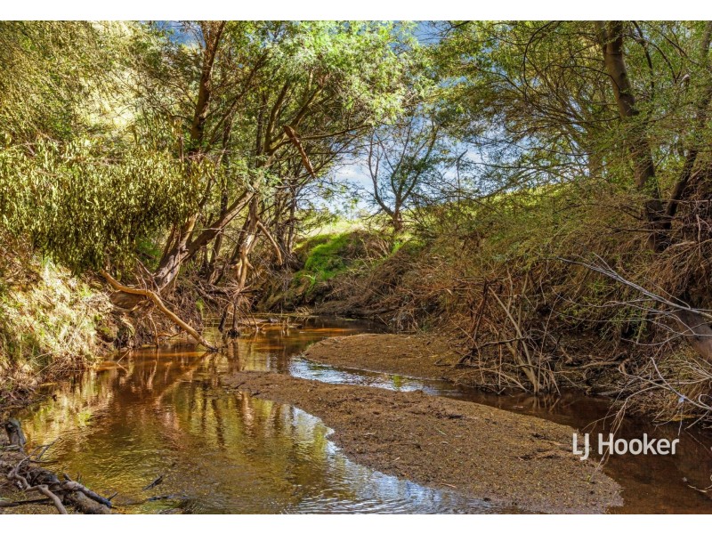 1118 Broadford Wandong Road, Sunday Creek VIC 3658
