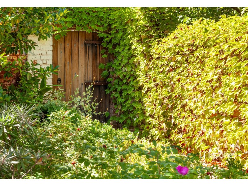 16 Bank Street, Avenel VIC 3664